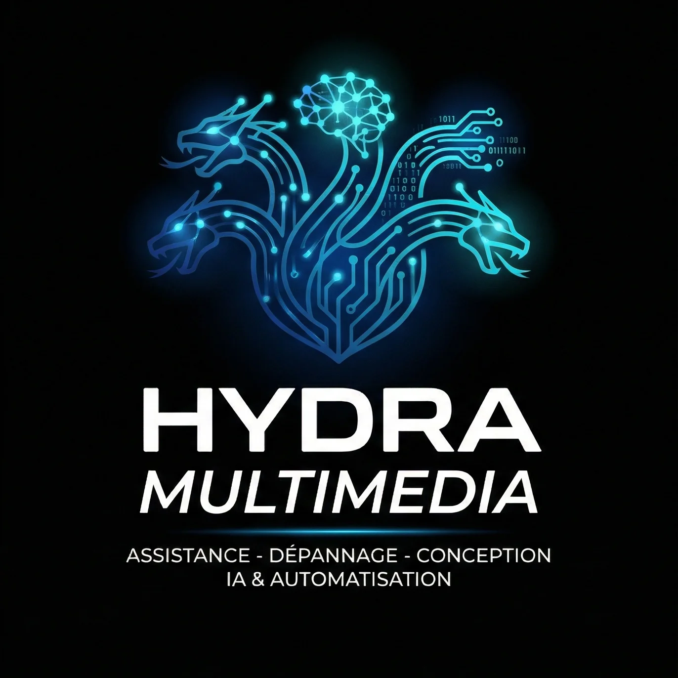 HYDRA MULTIMEDIA